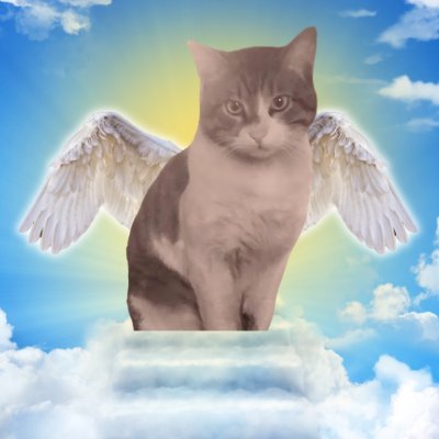 JusticeForEros's profile picture. Show your support for EROS and