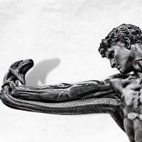 arminius (@cryptoarminius) 's Twitter Profile