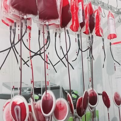 Blood Transfusion,
Grow in silence 🌾