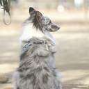 Stuart Strauss - @MaxDad08 - Twitter