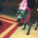 Gary Browne - @dumbosdad - Twitter