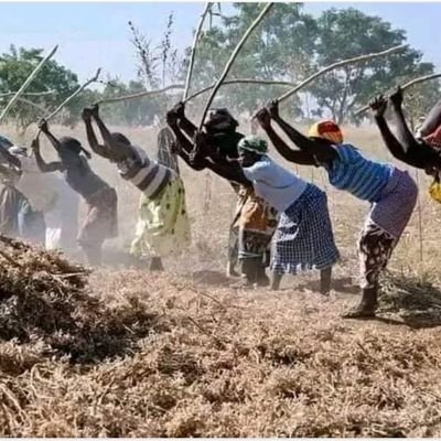 marksukerbeck's profile picture. Lorsque l'essentiel est en danger, résister est un devoir - Mbeurgou