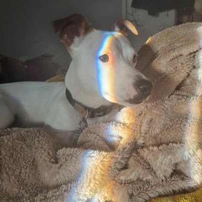 SparkyAndGinny Profile Picture