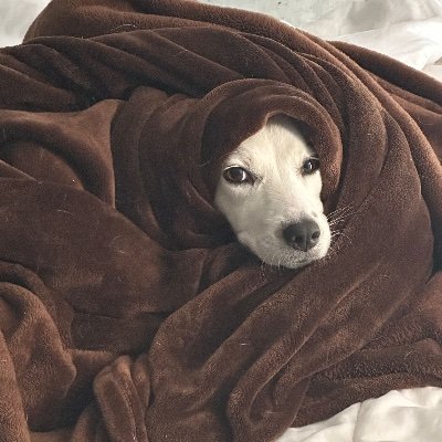 Oscarca20839214's profile picture. 