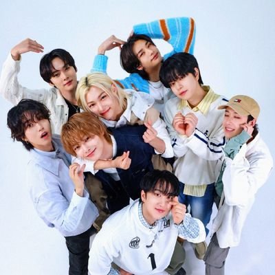 stray kids'i bana sahip olduklari icin tebrik ederim