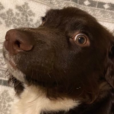 gordordon's profile picture. 