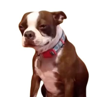 TacticalLauLau's profile picture. Add a bio to your profile