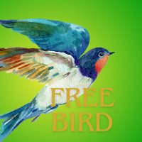 Freebird@半都半田 (@freebirdtokyo) 's Twitter Profile Photo