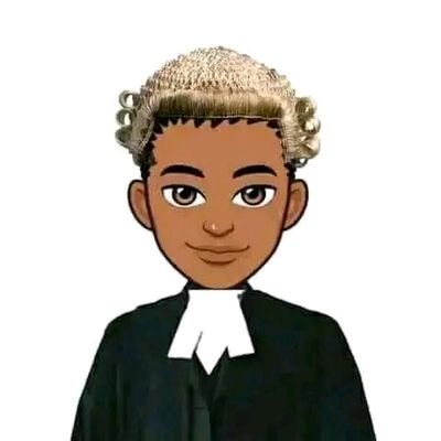 Esquire ⚖️
lawyer in view
legal writer 📜📝
Tech📉📈