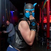 Dogtor Dromis (@dromistheswitch) 's Twitter Profile