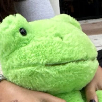 bugishbear's profile picture. lifesteal + statesmp + whitepine  :D 🌱 BING!! / zam / yungy / derap / gem 🌵 eng + learning esp ☘️ sleep deprived artist