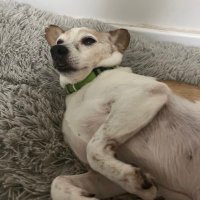 Itay shaked (@infinit46148655) 's Twitter Profile