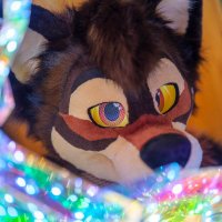 Luckyspacewolf(@Luckyspacewolf2) 's Twitter Profile Photo