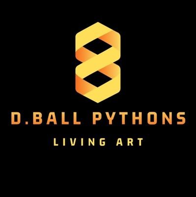 Faith, family, and breeding Ball Pythons! Brand new Breeders officially in production! #DBallPythons #LivingArt #Reptiles #BallPythons