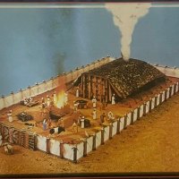 حُوشَايُ الأَرْكِيُّ. (@egypt2323) Twitter profile photo