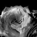 dru thomas - @druthomas218383 - Twitter