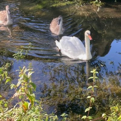 l_u_cyyy's profile picture. 