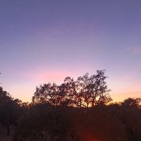 Samael (@saramrs) 's Twitter Profile
