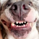 Ray Rowell - @rowell32349 - Twitter