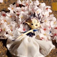 フェン(fenouil jardin) (@kuroifen) 's Twitter Profile