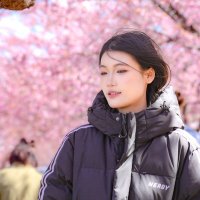 supremeさんの写真部屋(@capitavolcom) 's Twitter Profile Photo