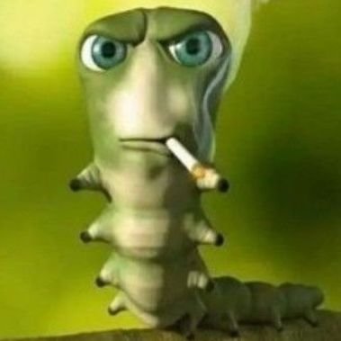 esquizoxit's profile picture. 