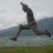 pujo_snc's profile image
