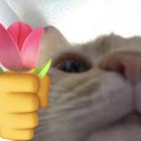 Hager (@_haager) 's Twitter Profile Photo Hager (@_haager) 's Twitter Profile Photo