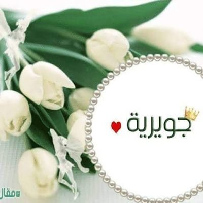 هدفنا حياه بلا سمنه 👌🏻
اقوي برنامج التنحيف 💪🏻
نظام غذائيّ سليم متوازن 👏🏻
التواصل خاص🌸🤍