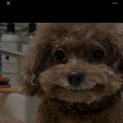 buddycray's profile picture. 