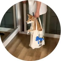 Dogwifbag (@dogwifbag1) 's Twitter Profile