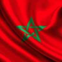 🇺🇲معطي ولد تبون🇲🇦(@ns534273959841) 's Twitter Profile Photo