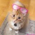 socdarling ๐จ๐ฆ๐๐ (@socdarling) Twitter profile photo socdarling ๐จ๐ฆ๐๐ (@socdarling) Twitter profile photo