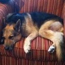 Destiny Clancy - @DessineeLowe - Twitter