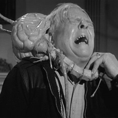 xaxaxpv's profile picture. ☥ 2 PIECE POWERVIOLENCE  BAND ☥