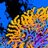 TyDiReef_D's profile image