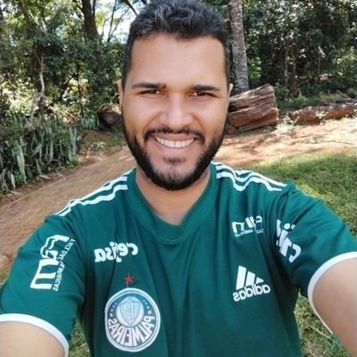 Palmeiras 💚🌴🦎