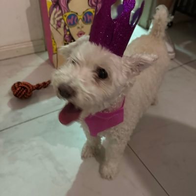 nada interesante sobre mi.  IG @melinanoe