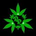 Rollers Royale (@rollersroyale) Twitter profile photo Rollers Royale (@rollersroyale) Twitter profile photo