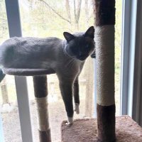Deborah Campbell (@sunsprite2) 's Twitter Profile