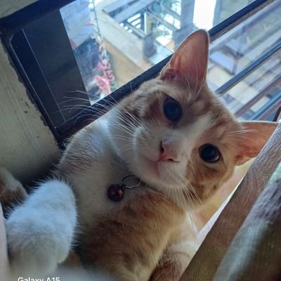 Toyz_ka's profile picture. tall..dark and nevermind😅😅