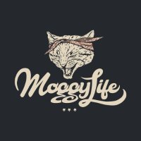 MoggyLife (@moggylife) 's Twitter Profile Photo MoggyLife (@moggylife) 's Twitter Profile Photo