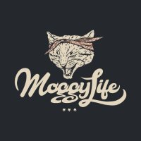 MoggyLife(@moggylife) 's Twitter Profile Photo