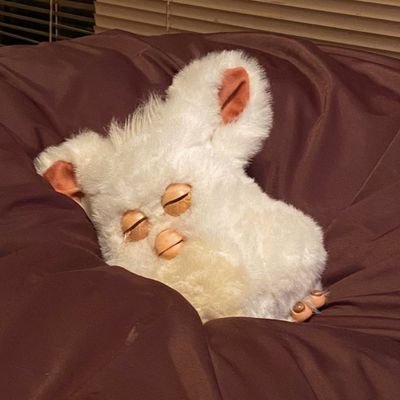 se100022's profile picture. 회계합쉬다(기록용) / 성인여성 / 돈이조아 💰