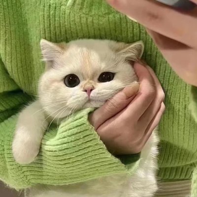 Chen_Jenny89's profile picture. Crypto Analyst / Crypto Enthusiast
Let's find more fun on X
#BTC #ETH #Crypto