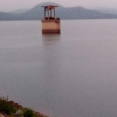 MuslimAbol92919's profile picture. 