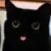 SolarScorpio777 (@solarscorpio666) Twitter profile photo SolarScorpio777 (@solarscorpio666) Twitter profile photo