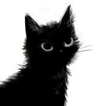doram3o's profile picture. 