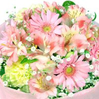 ももいろのも (@ejzpr0unew71500) 's Twitter Profile Photo ももいろのも (@ejzpr0unew71500) 's Twitter Profile Photo