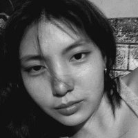 g๐ (@gemv_v) 's Twitter Profile